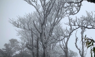 Băng giá xuất hiện ở Cao Bằng